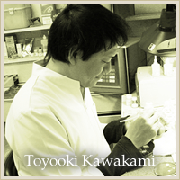 Toyooki Kawakami